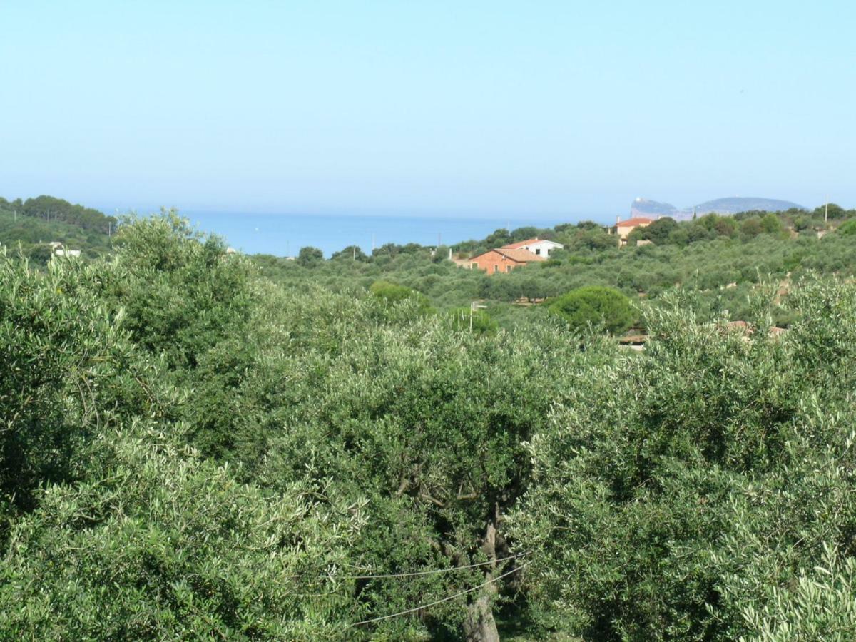Villa La Scaletta Alghero Zewnętrze zdjęcie